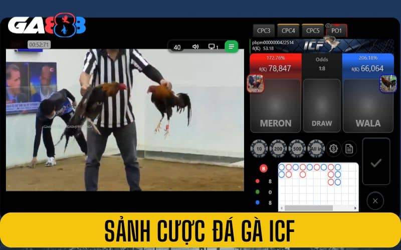 ICF là sảnh cược đá gà quốc tế uy tín ICF là sảnh cược đá gà quốc tế uy tín