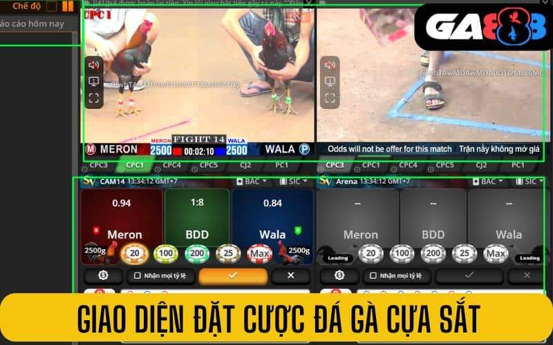 Bảng giao diện đặt cược trong đá gà cựa sắt GA888 Bảng giao diện đặt cược trong đá gà cựa sắt GA888