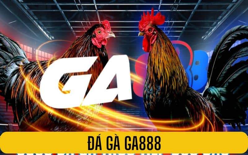 Đá gà GA888 là sản phẩm cung cấp các trận đá gà trực tuyến Đá gà GA888 là sản phẩm cung cấp các trận đá gà trực tuyến