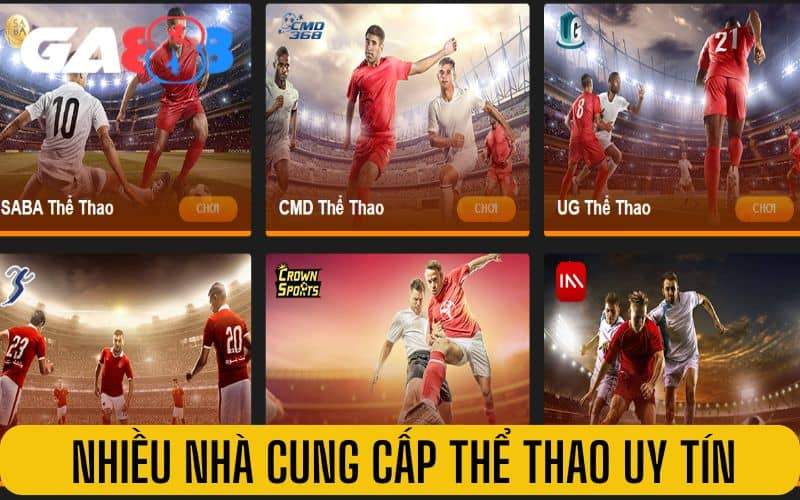 Thể thao GA888 có nhiều nhà cung cấp uy tín Thể thao GA888 có nhiều nhà cung cấp uy tín