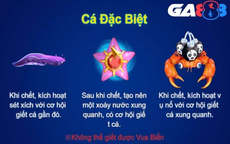 Cá đặc biệt tạo ra các hiệu ứng tiêu diệt cá cho người chơi Cá đặc biệt tạo ra các hiệu ứng tiêu diệt cá cho người chơi